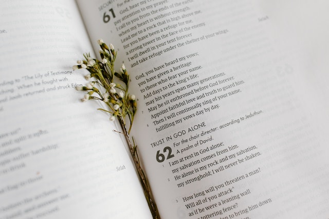 Bible Verses on Hope in Psalms
